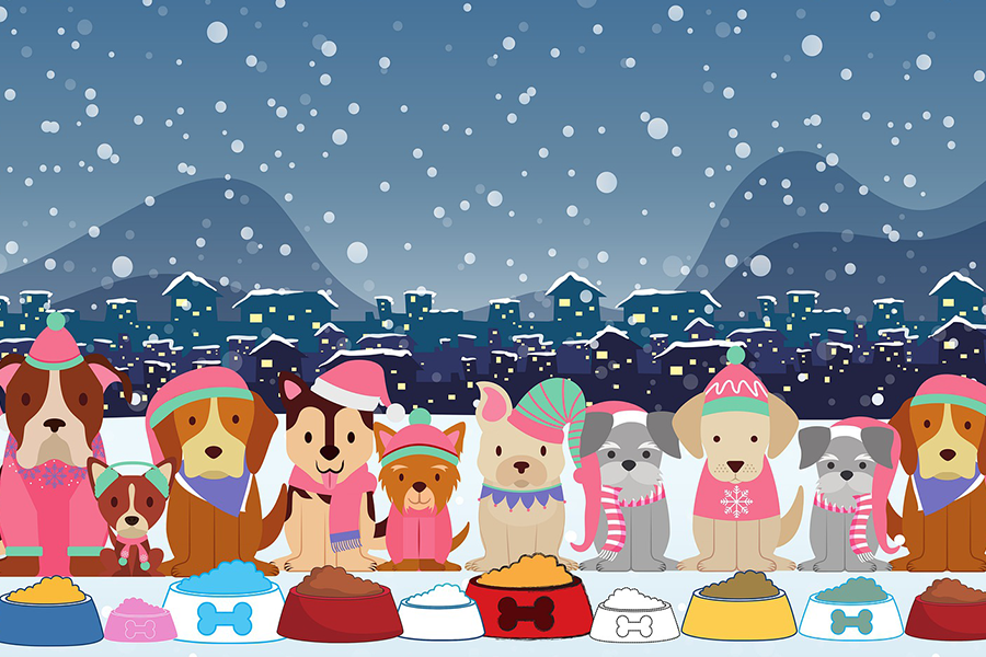 Season of Giving, Humane Society, Animal Shelter