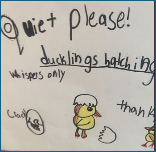 Rideau Park Duck Sign June2026