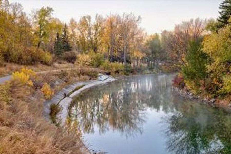 Rideau Park Weekly Land Acknowledgement Feb 6 2026